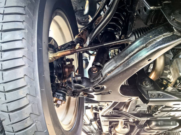 What are the two main components of a suspension system?