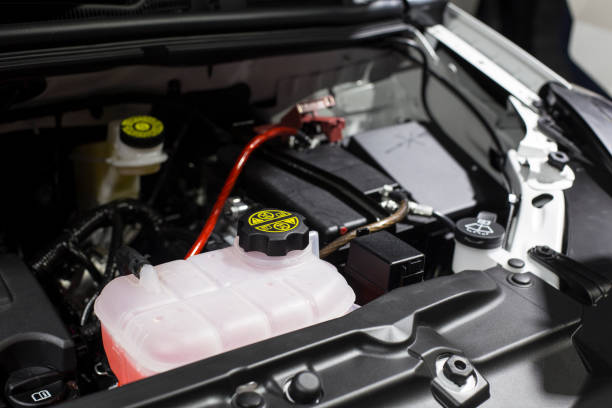 What is the longest life of a car battery?